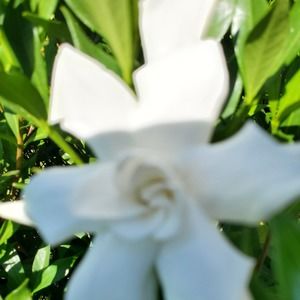 Meet your Posher, Cathy